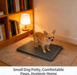 Grey Dog Toilet Tray with Removable Grid – 2 Sizes