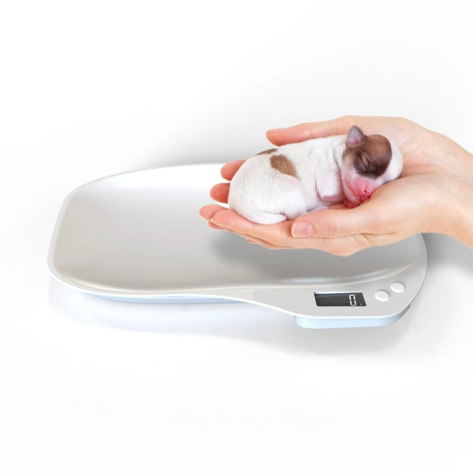 Digital pet scale with puppy